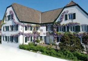 Rhein River Guesthouse - Art Hotel on the Rhine